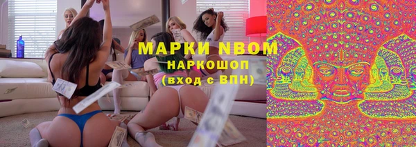 индика Богданович