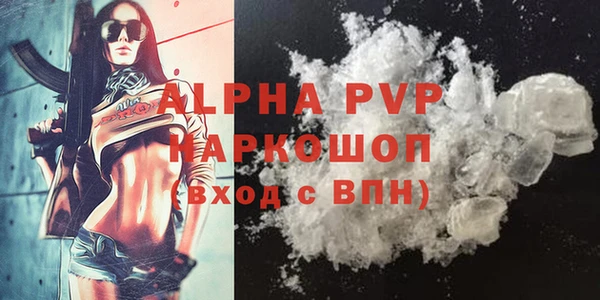 индика Богданович